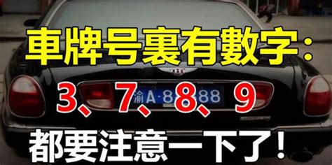 招財車牌號碼|有車的人注意！車牌有「這5大數字」註定聚錢財，好運連連擋不。